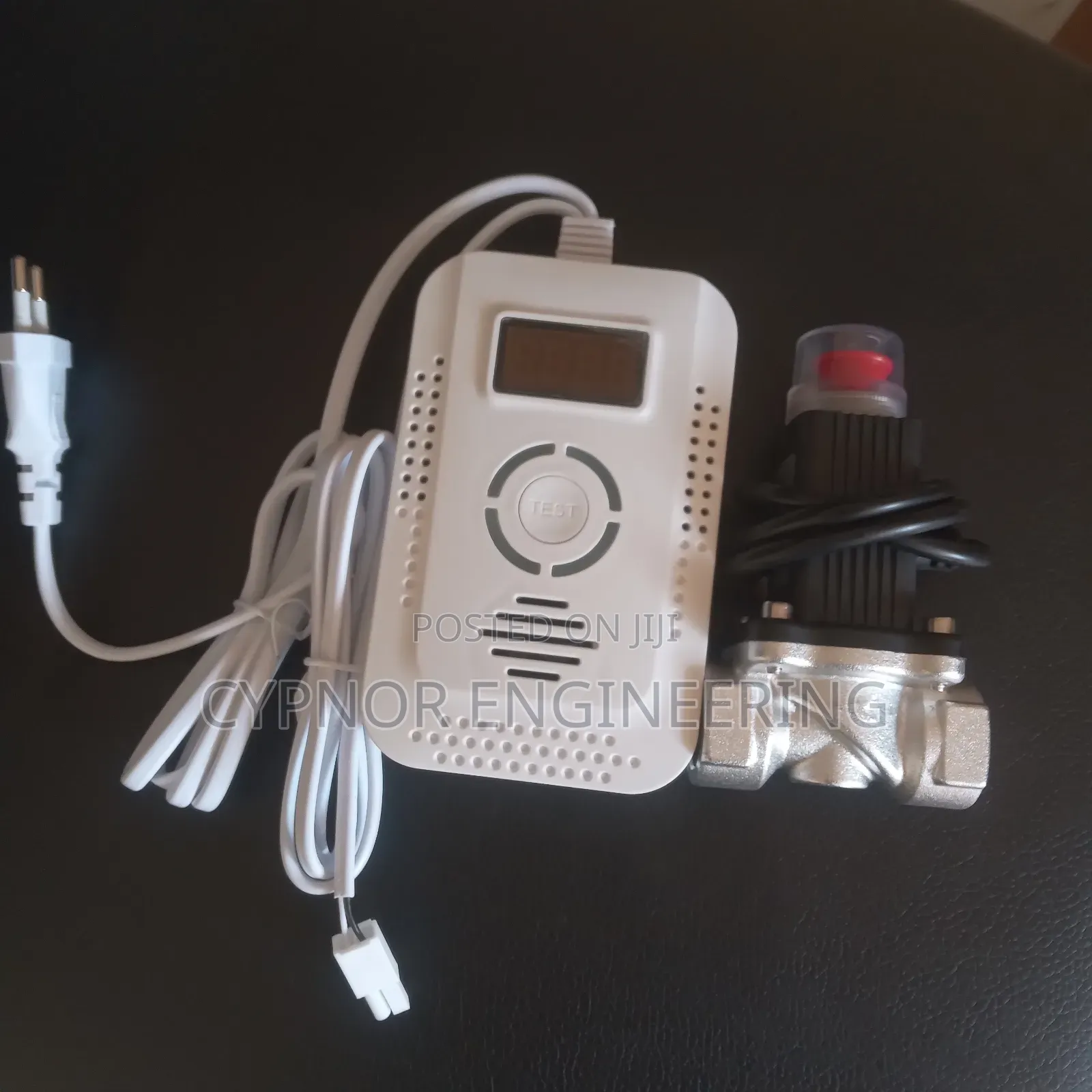 Smart Gas Leak Detector for Kitchen