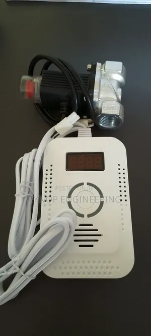 Factory LPG Leak Detection System