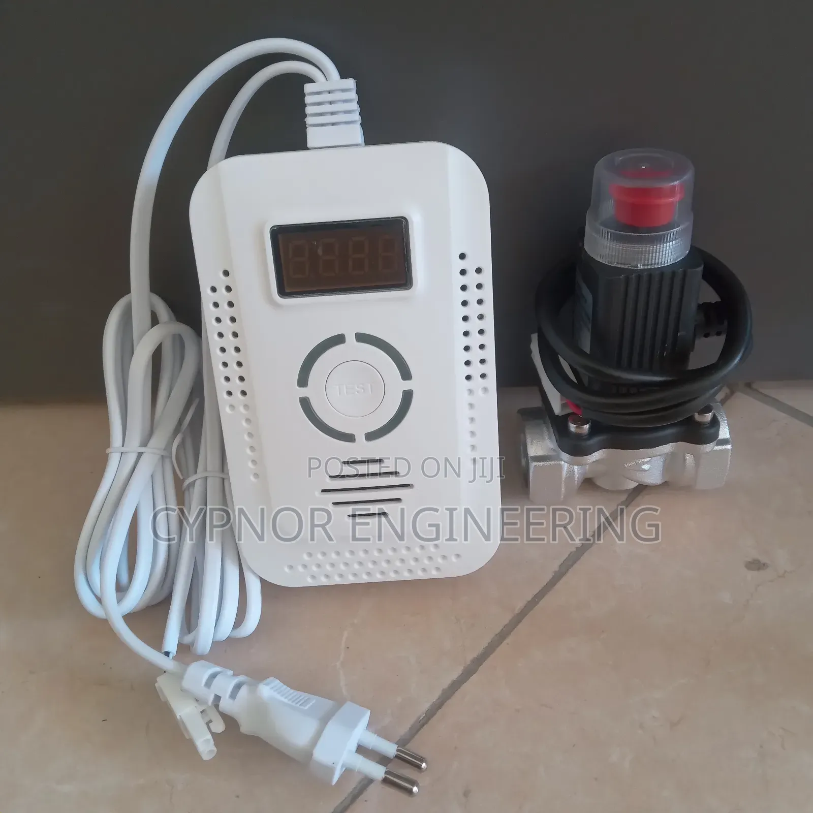 Tuya Smart Gas Leak Sensor for Kitchens