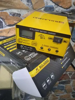 Bo Lai Mei 12v/24v Battery Charger