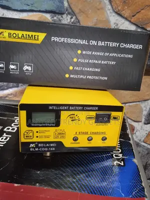 Battery Charger 12/24v Bolaimei Ca Battery Charger