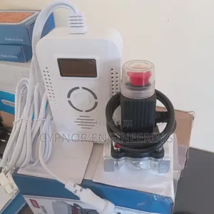 Gas Leakage Detector for Airbnb Safety