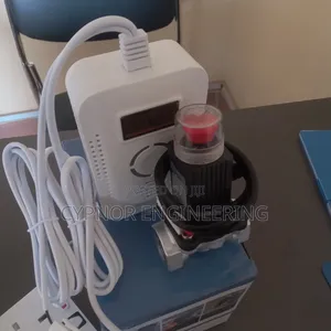 Smart Gas Leakage Detector for Airbnb