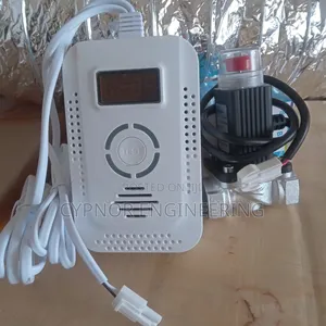 Airbnb Gas Leak Detection With Valve