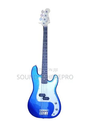 Singer 4 String Bass Guitar