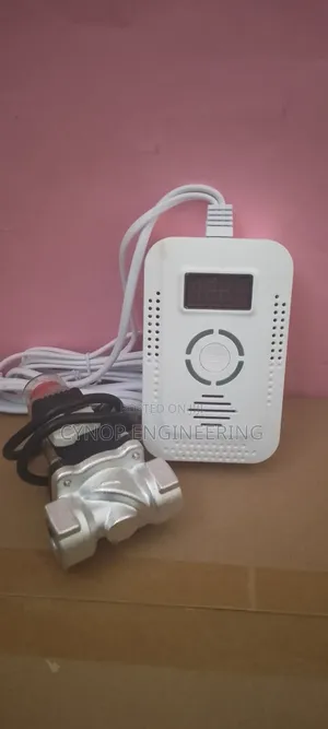 Kitchen Gas Leak Detector Sensor With Valve