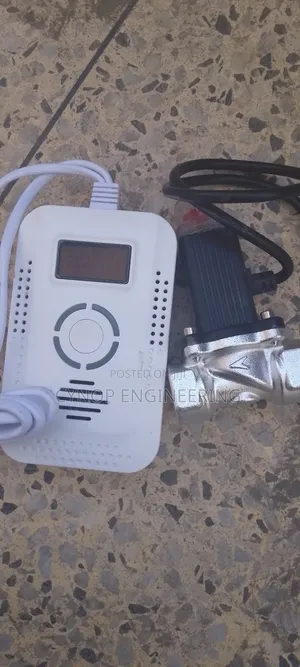 Factory LPG Leak Detector and Solenoid