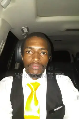 Well Kept and Mannered Driver