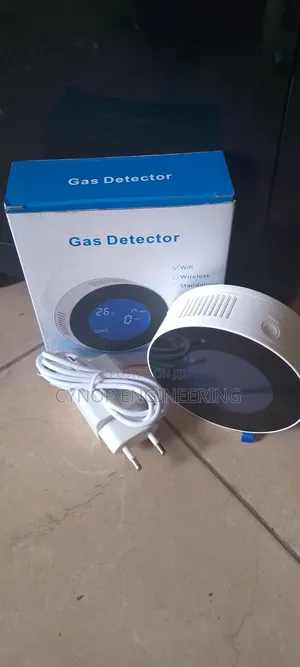 LNG Gas Leak Sensor for Factories