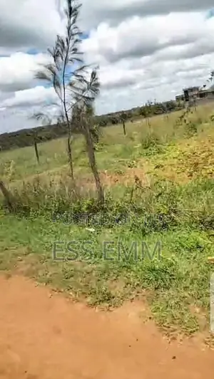 Spacious Land in Kamulu: 160x100 ft Plot for Sale Now