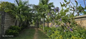 Second Row Prime 1/2 Acre Beach Plot for Sale in Kikambala