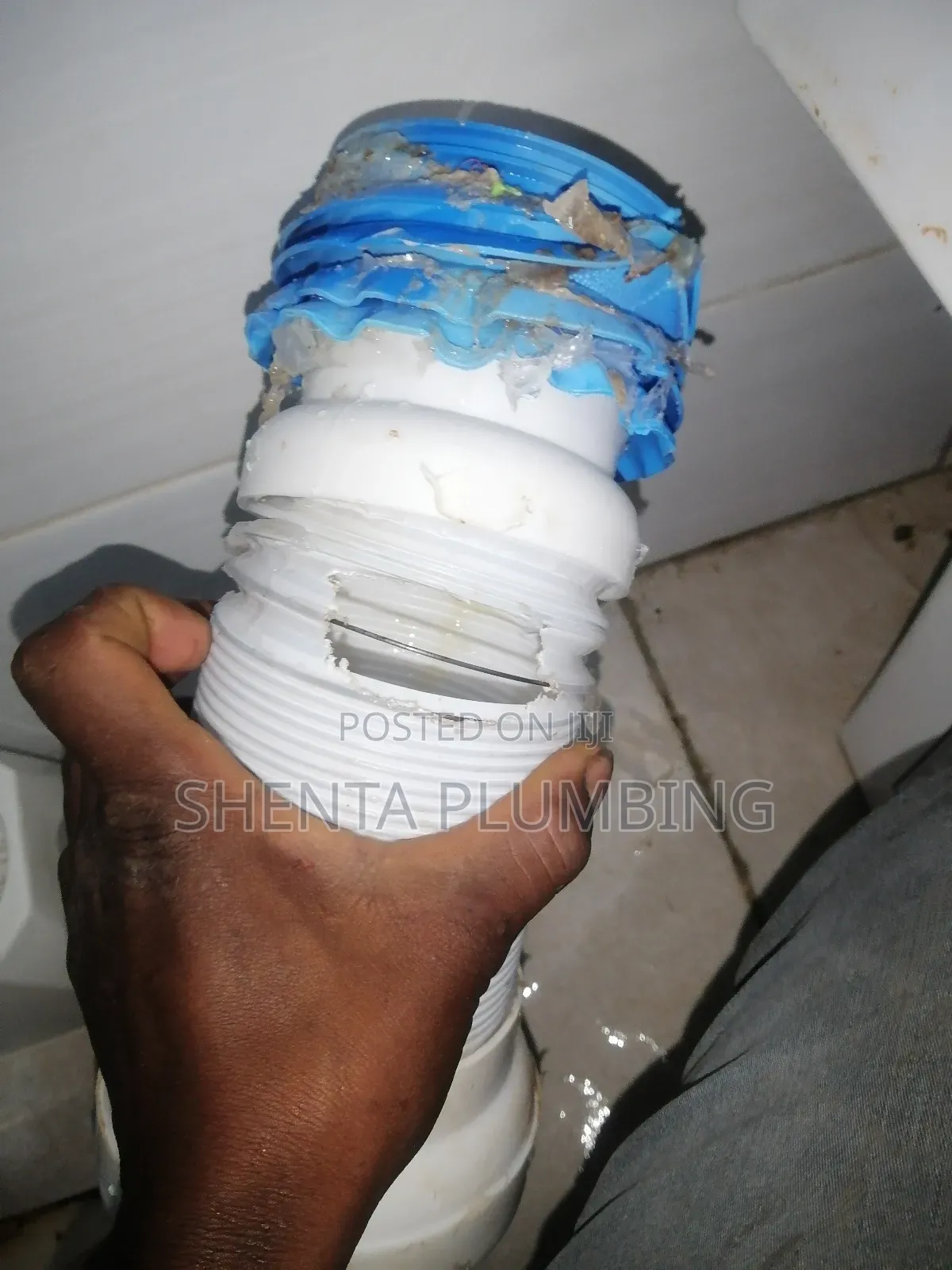 Professional Plumber