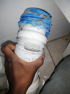 Professional Plumber