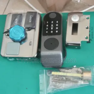 Rfid Gate Lock for Main Entrance