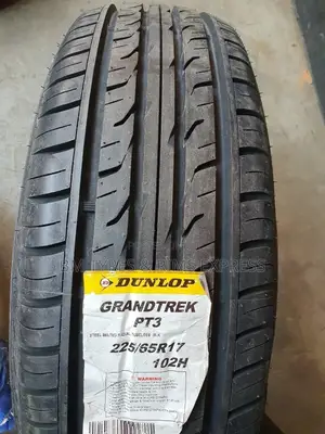 225 /65r17 Dunlop TYRES (Japan)
