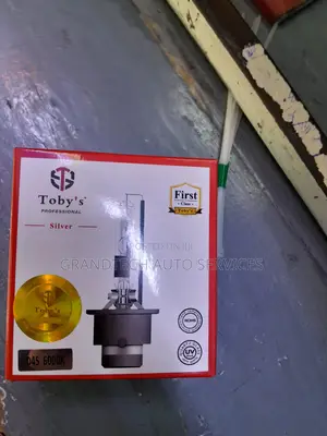 D4s Toby Xenon Bulbs.