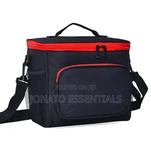 Insulated Lunch Bag for Office, School and Picnic Travel