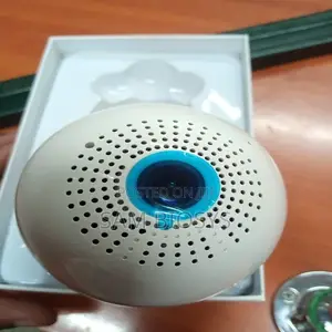 CCTV Camera Bulb