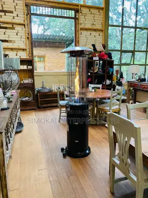 Magnificent Outdoor Indoor Gas Warmers