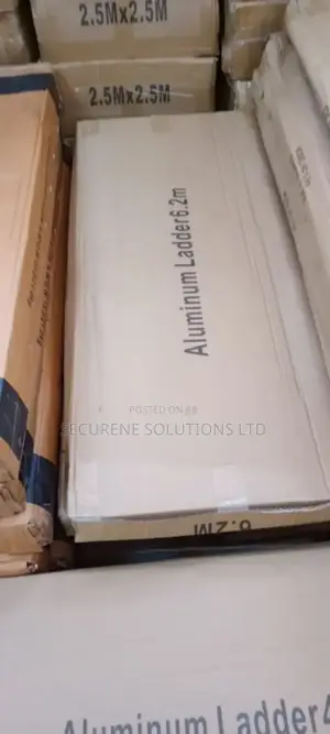 Single Telescopic Ladder