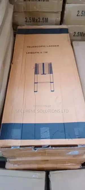 Single Telescopic Ladder