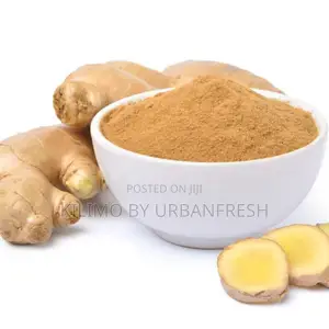 Ginger Powder 500g