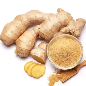 Ginger Powder 250g