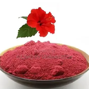 Hibiscus Powder 500g