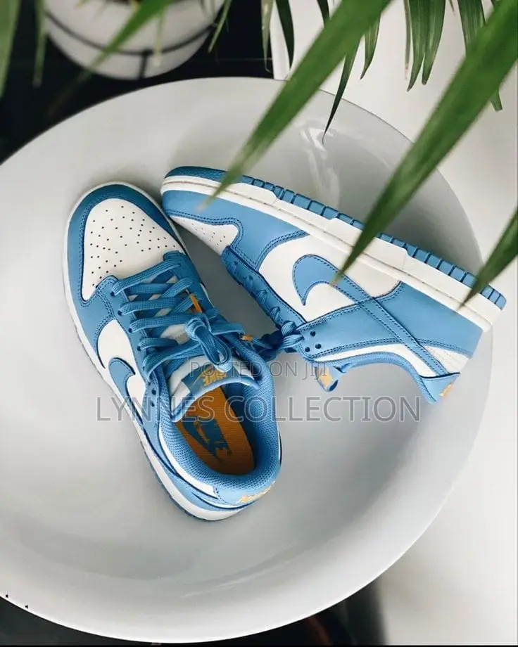 Nike Sb Low Dunk