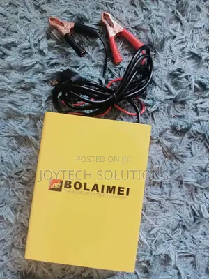 New Original BLM Car Battery Charger 12-24v