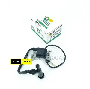 Ignition Coil Assembly for GX110 GX120 GX140 GX160 GX200 Ct2