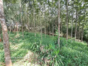 3.5 Acres Farmland With a Warehouse for Sale in Karen End
