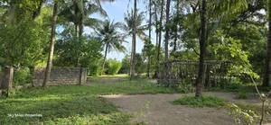 Second Row From the Beach, 1 Acre Plot on Sale in Kikambala