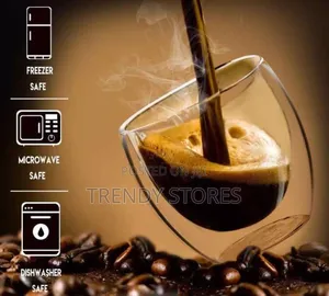 Double Wall High Borosilicate Mug