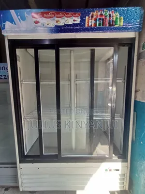 Double Door Display Fridge