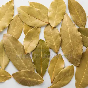 Bay Leaves 1 Kg