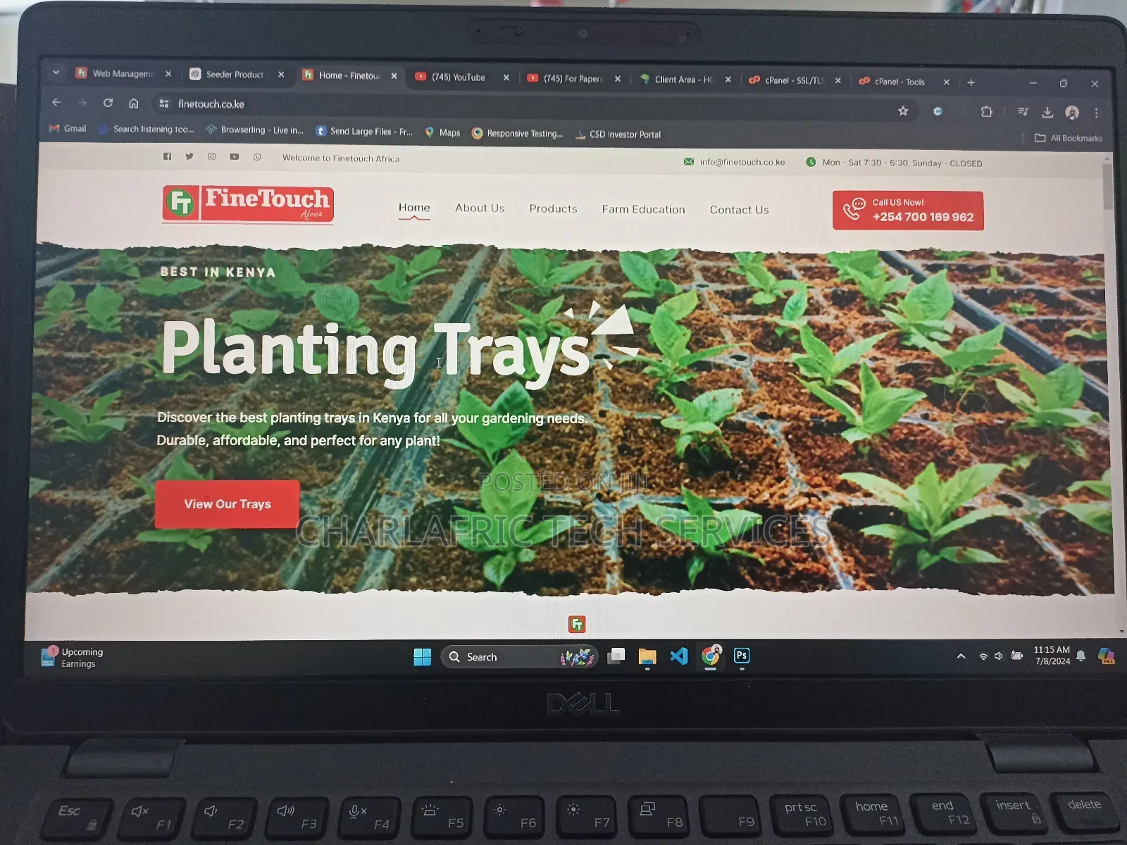 Website Design and Development