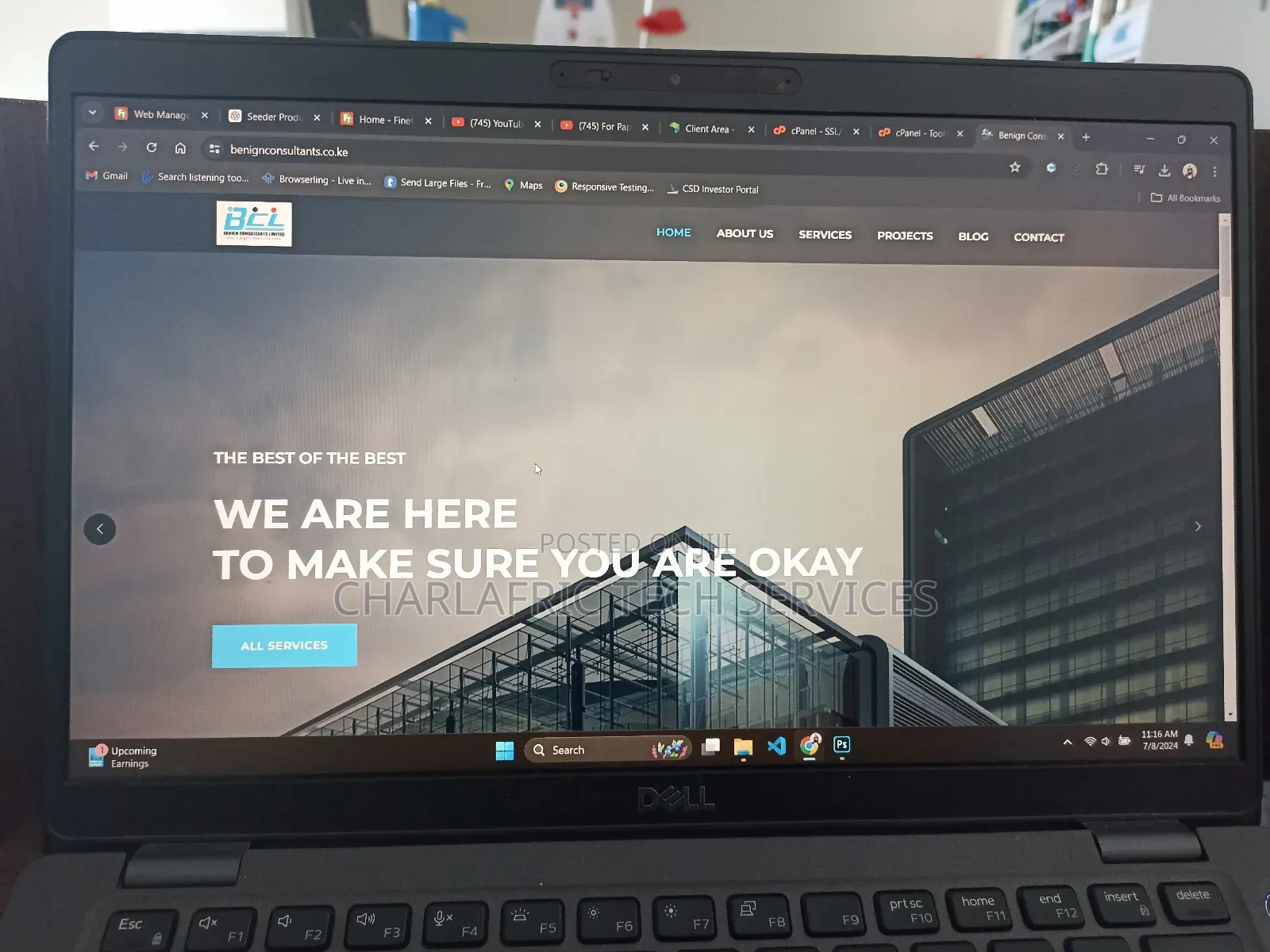 Website Design and Development