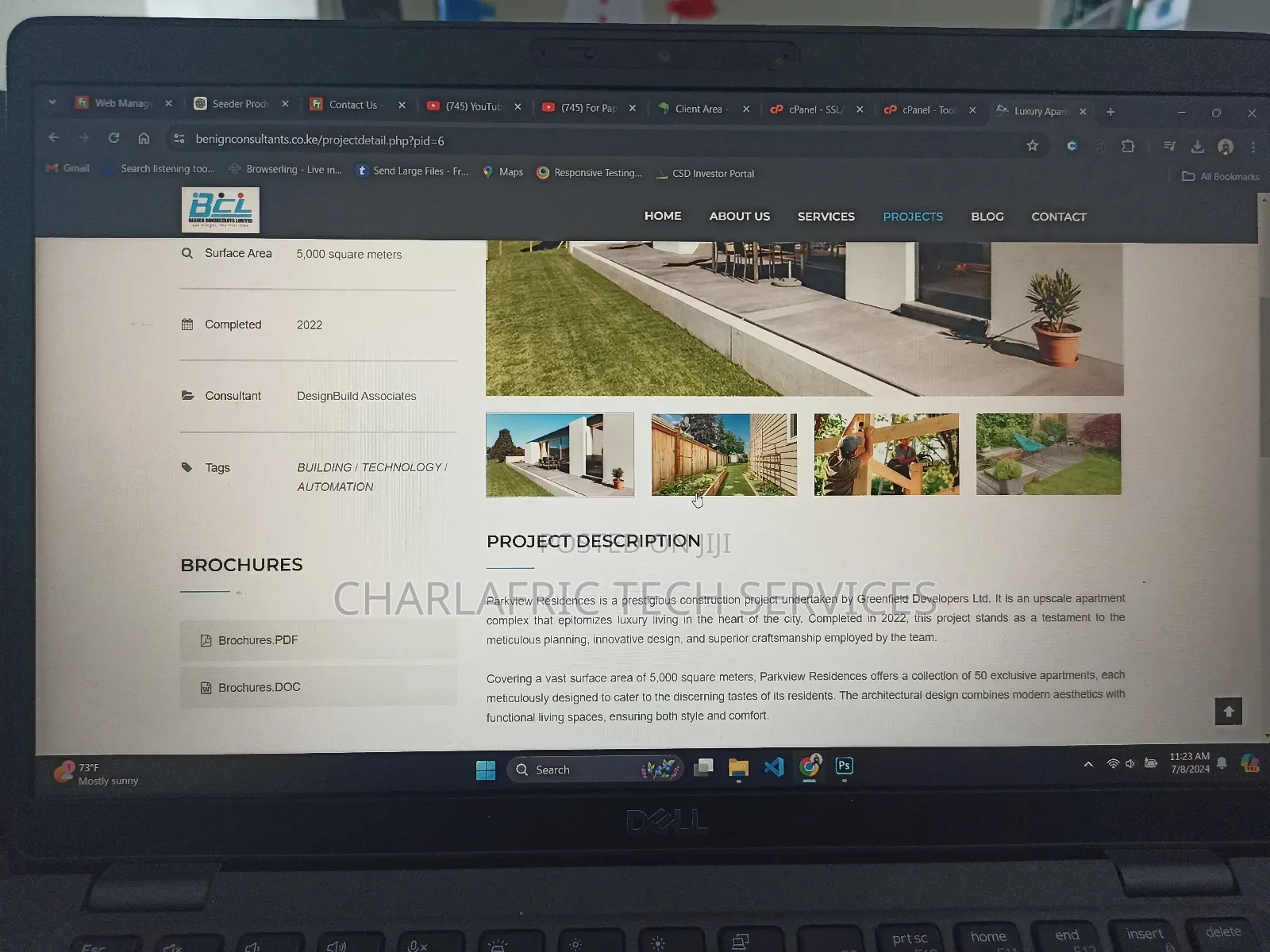 Website Design and Development