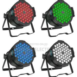 Stage Lighting Parcan Rg313