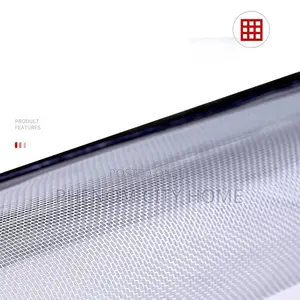 Anti Mosquito Windows Protector