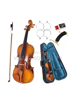 Top Quality Back Sides Highly Flamed Maple Leaf Violin 4/4