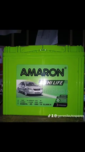 Ns60 Amaron Battery