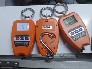 Mini Crane Scale Upto 200kgs Digital Scale Weighing Machine