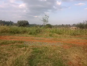 Residential Plots for Sale Kiora Estate Kiambu Municipality