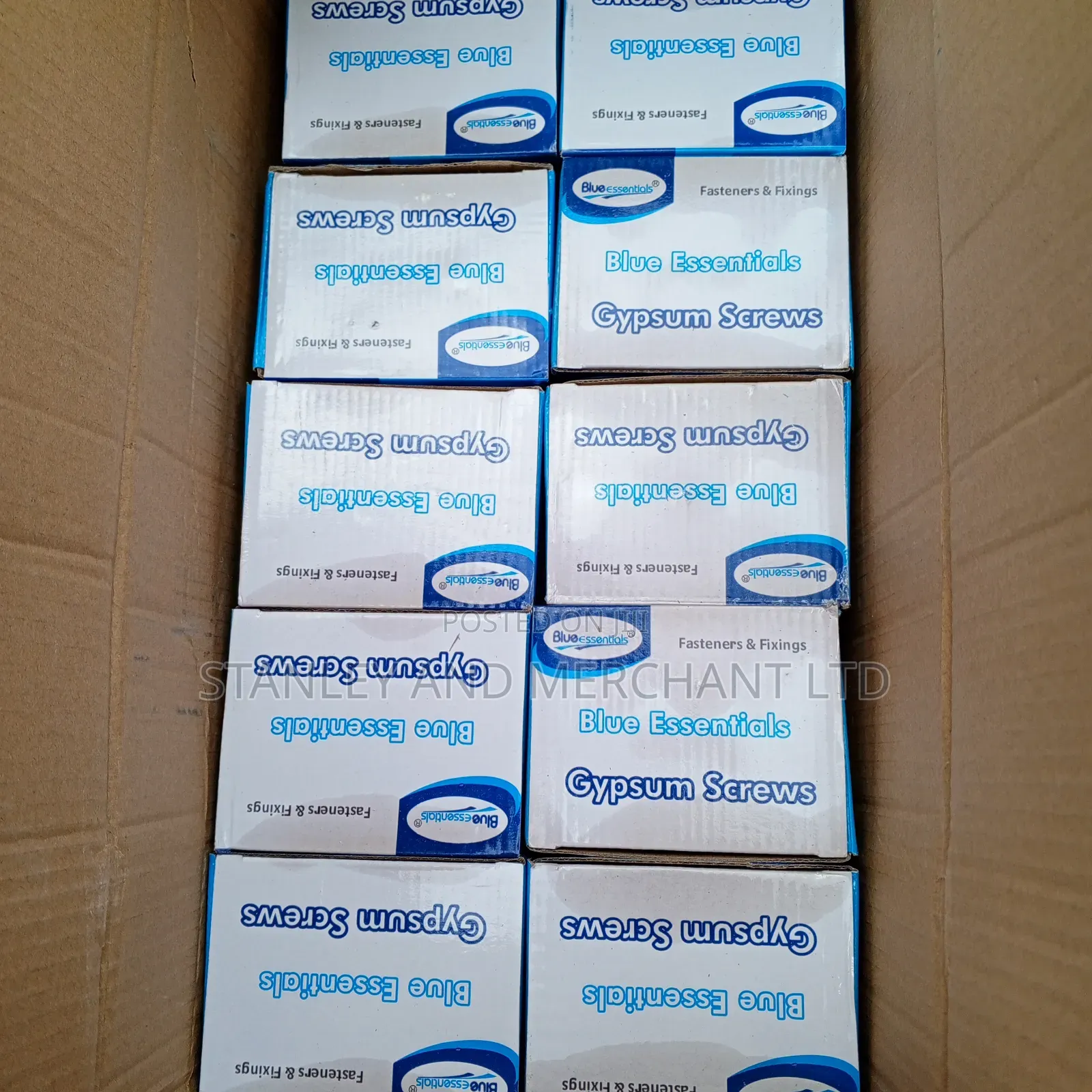 Blue Essential Gypsum Screws