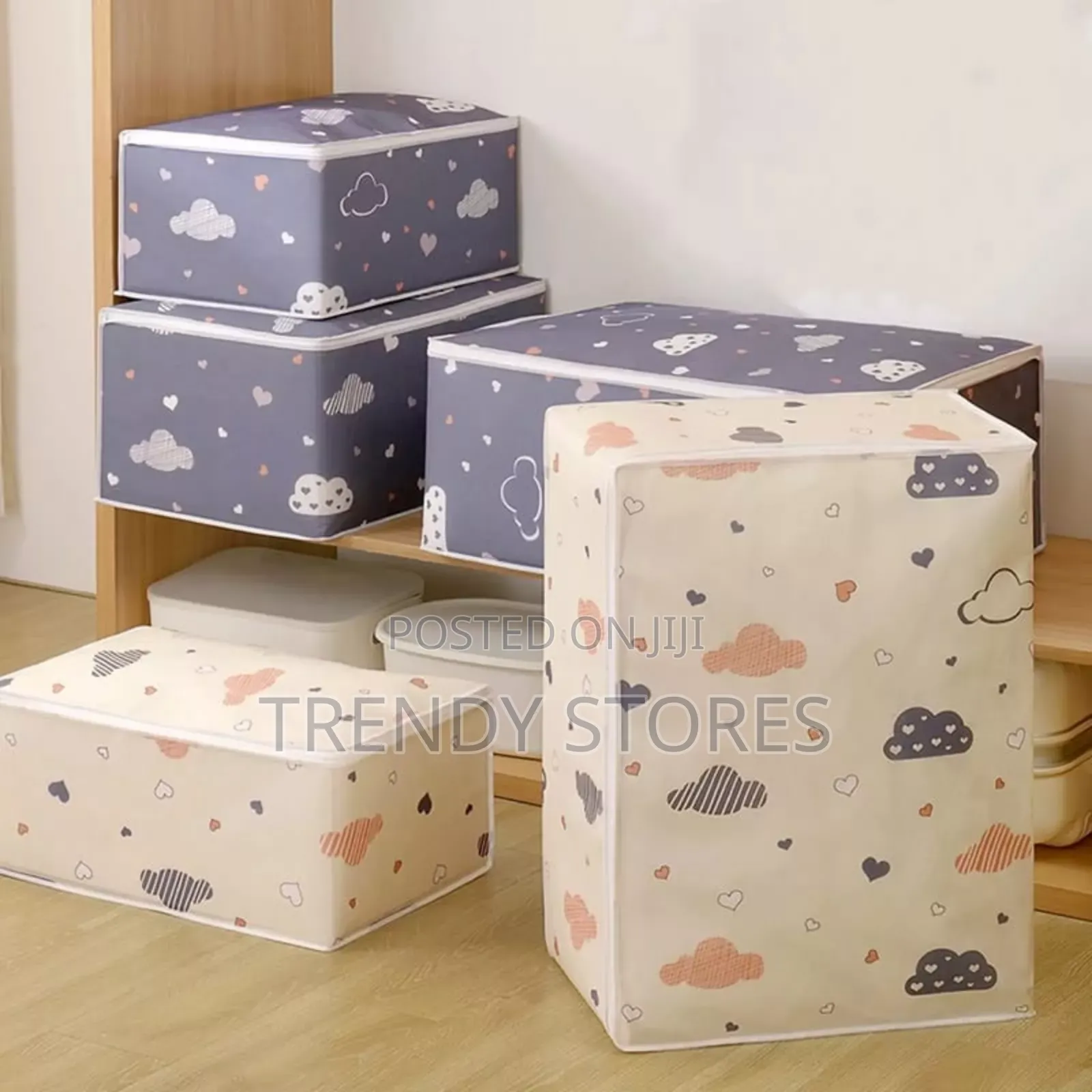 Dustproof Closet Storage