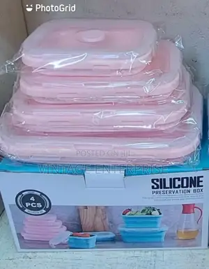 4pc Silicone Collapsible Food Container 