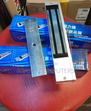 Electromagnetic Locks (Maglocks)