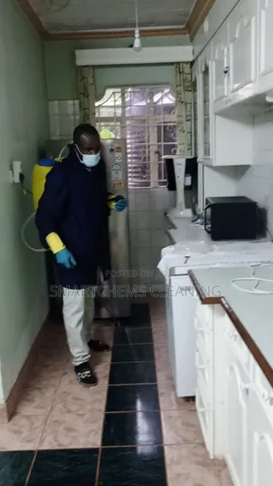 Cockroaches Elimination in Mlolongo